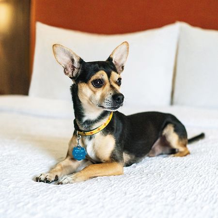 Hampton Inn Lexington South Luaran gambar